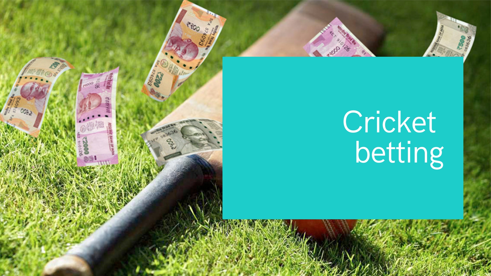 Top Tips on Cricket Betting