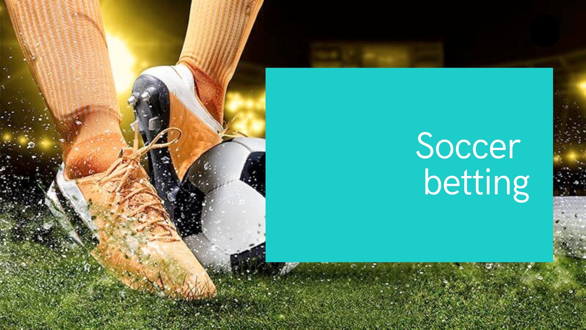 Soccer betting in India: what is it?