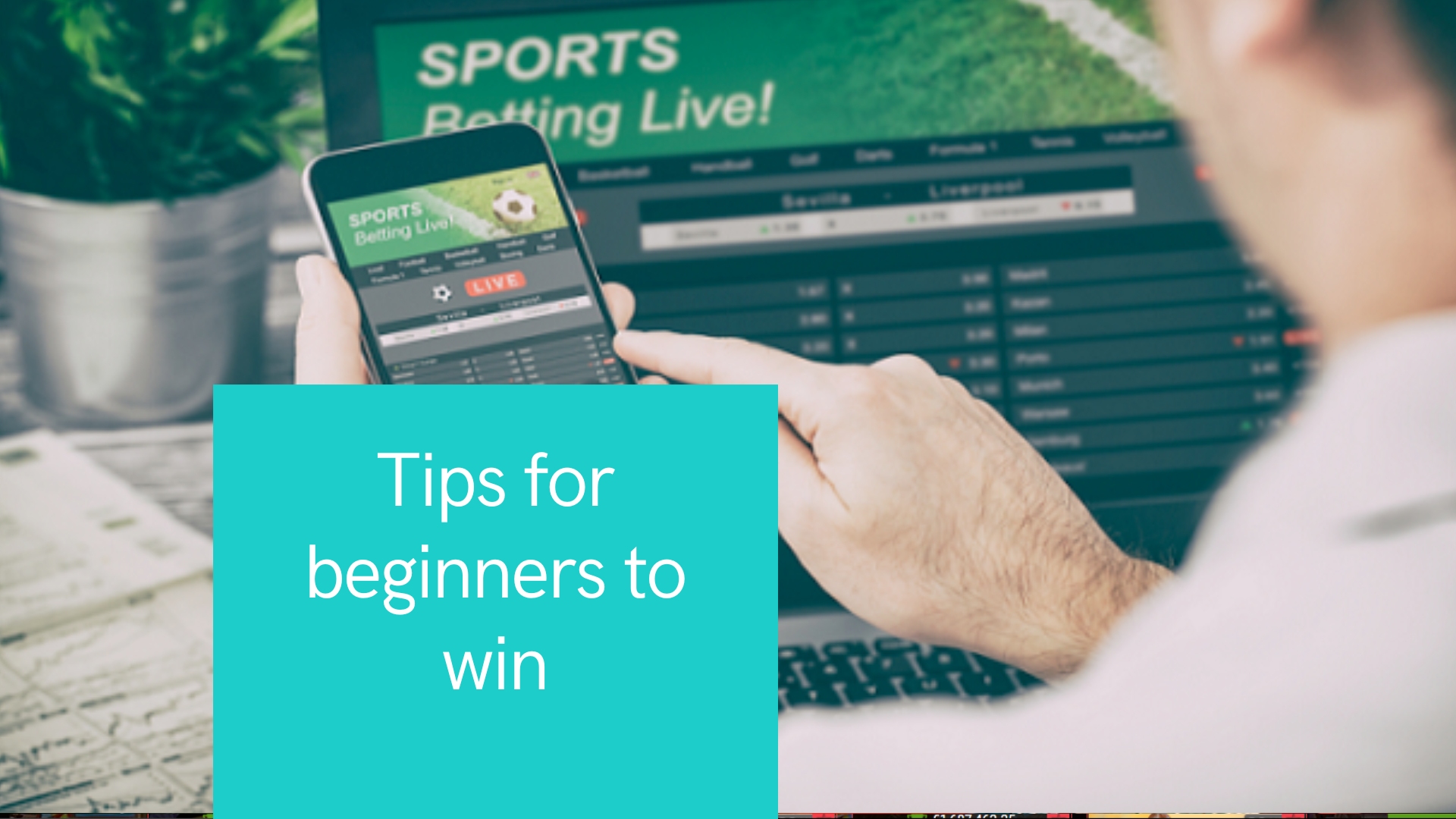 Betting Tips for beginners to win