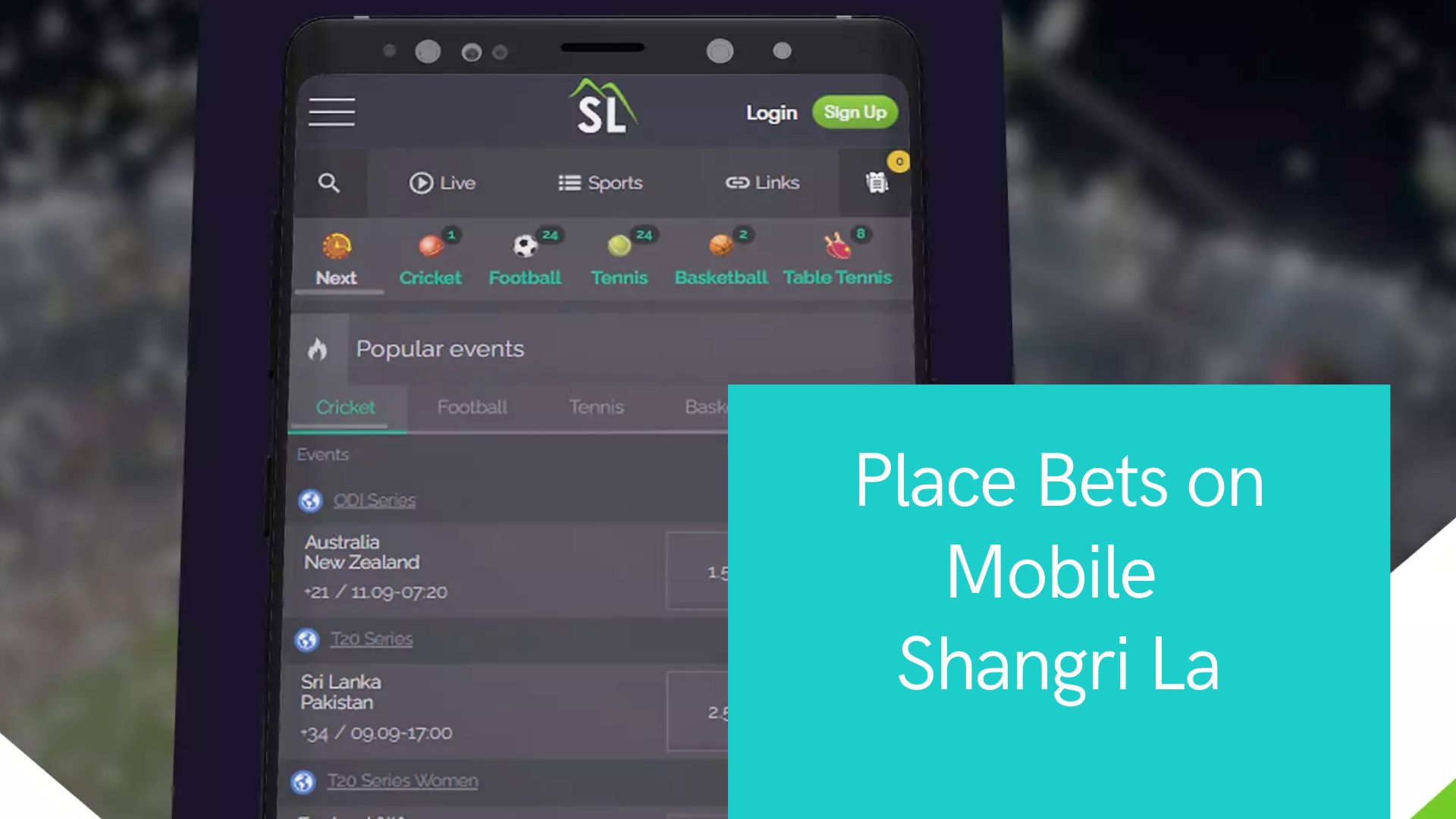Shangri la casino How to Place Bets on Mobile? 